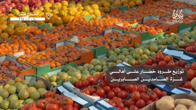 توزیع سبزیجات در نوار غزه