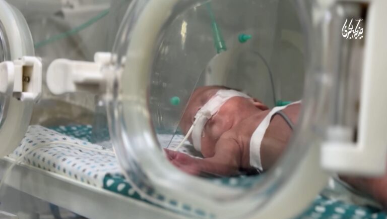 توزیع شیر بین کودکان غزه