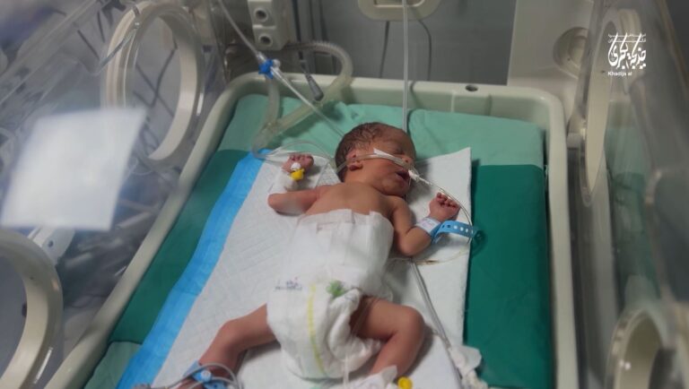 توزیع شیر بین کودکان غزه